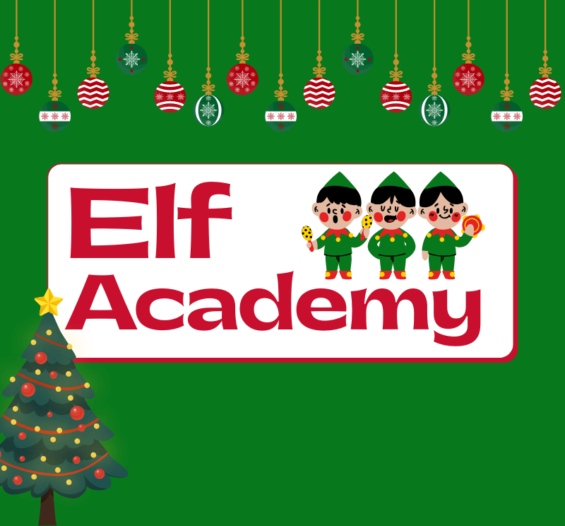 Photo of Elf Academy