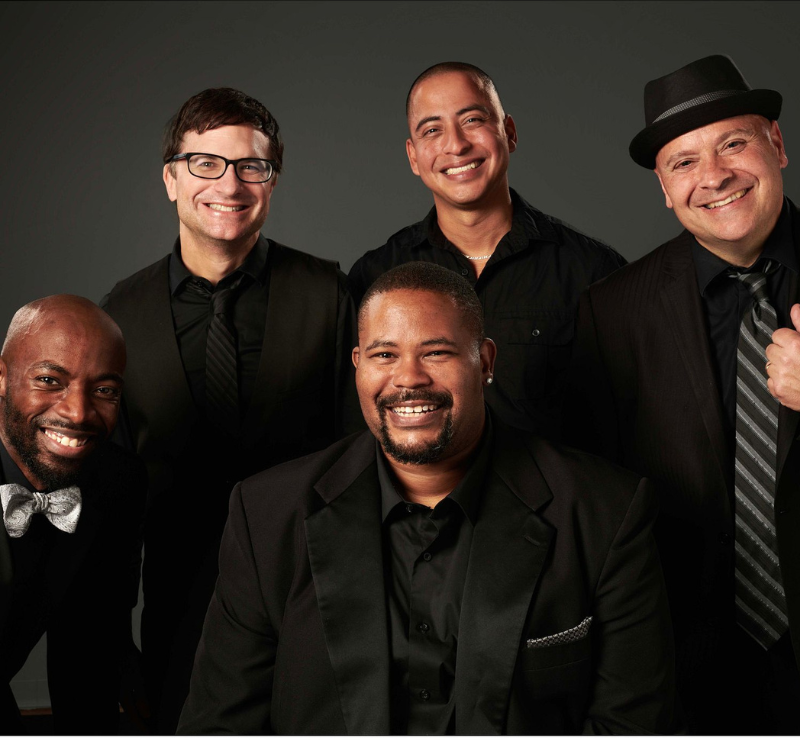 Photo of Ball in the House